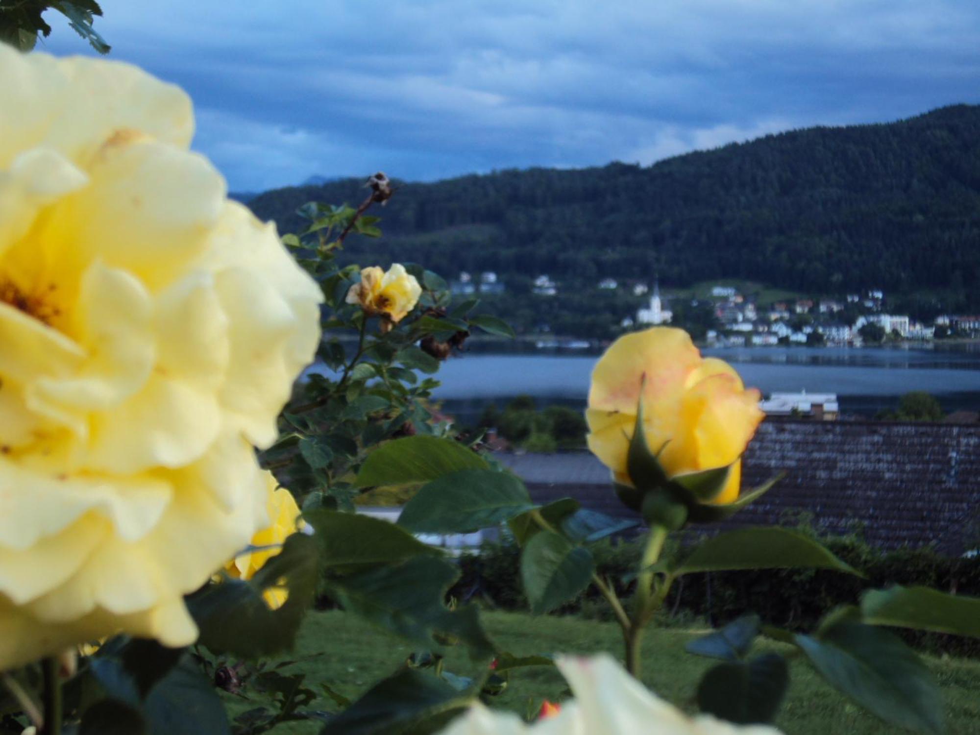 St. Oswalderhof Bed & Breakfast เพิร์ทชาค อัม เวิร์ทเทอร์ซี ภายนอก รูปภาพ