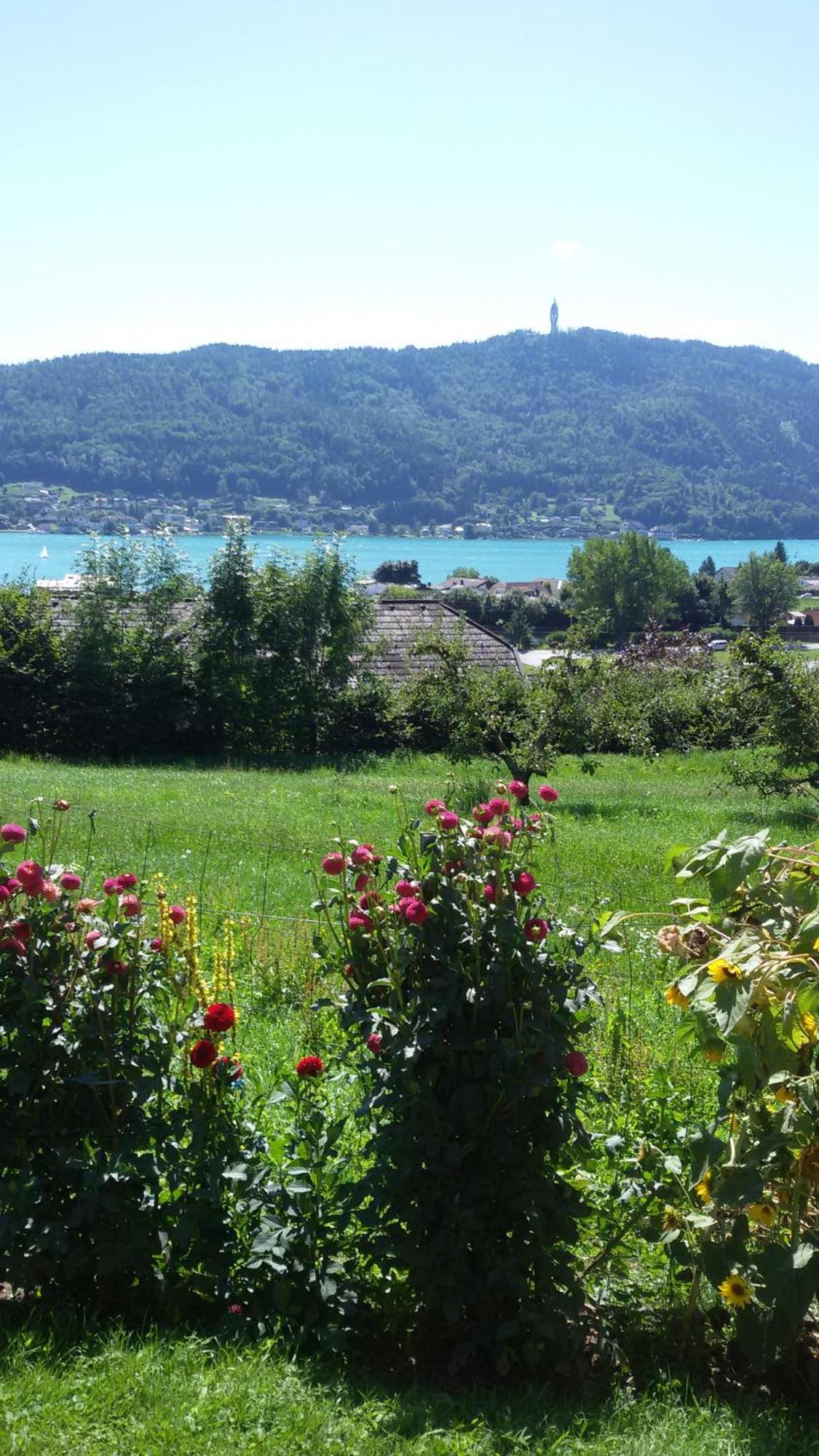 St. Oswalderhof Bed & Breakfast เพิร์ทชาค อัม เวิร์ทเทอร์ซี ภายนอก รูปภาพ